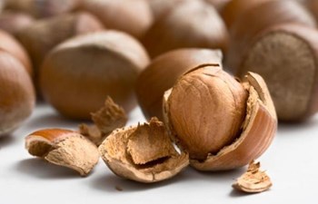 Sabıroğlu Fındık Ticaret Ve Sanayi A.Ş.