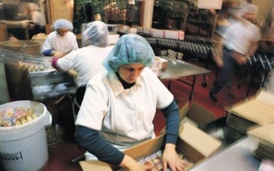 Yıldırım Yemek Güvenlik Temizlik Hizmetleri Ve Ticaret Ltd. Şti.