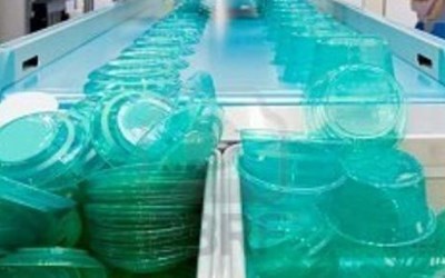 Memişoğlu Plastik Sanayi İnşaat Taahhüt Ve Ticaret Ltd. Şti.