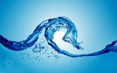 Karadeniz Su Ürünleri (Karsusan) Sanayi A.Ş.